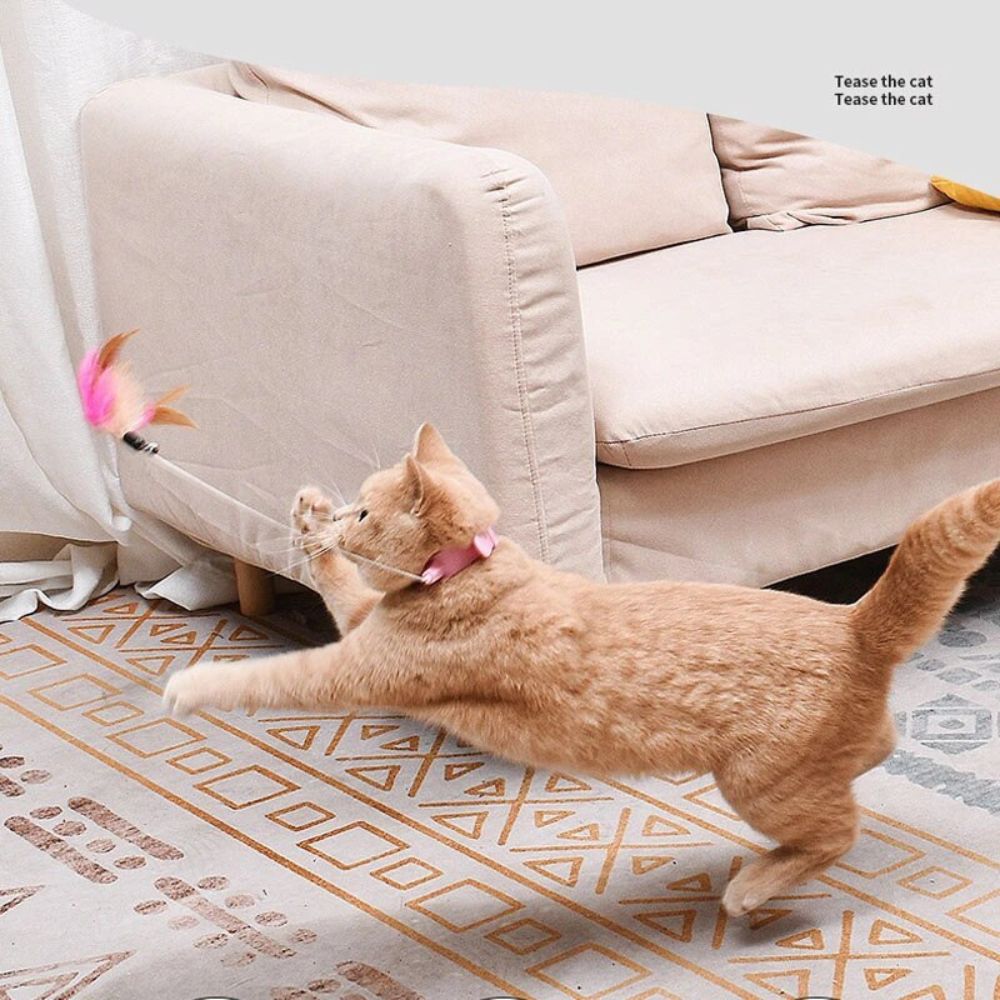ZOORA - Spring Rocker with Collar for Cats. 33cm long, bendable spring ...